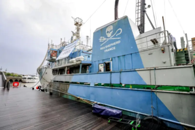 Sea Shepherd France : 20 ans d'action et un navire ouvert à Bordeaux