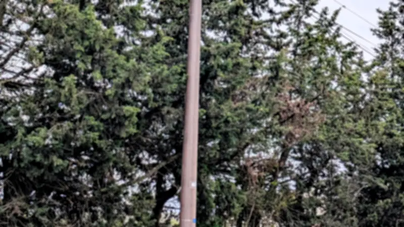 Sernhac : six semaines sans internet après un accident, la colère monte