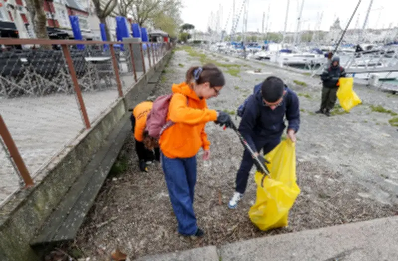 Service civique : une opération de ramassage contre le moustique tigre à La Rochelle