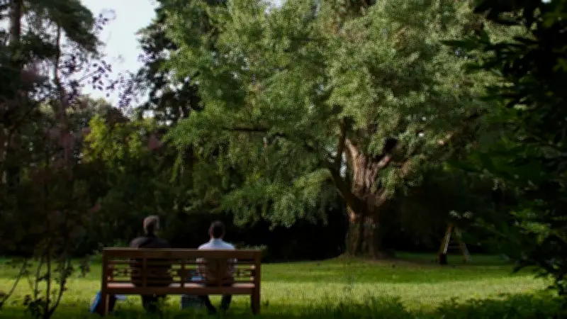 « Silent Friend » : le ginkgo biloba, un arbre qui unit trois époques dans un film contemplatif