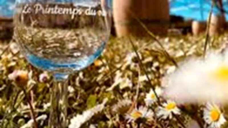 Sixième Printemps du Vin au Triadou : 14 producteurs pour une soirée de dégustation exceptionnelle