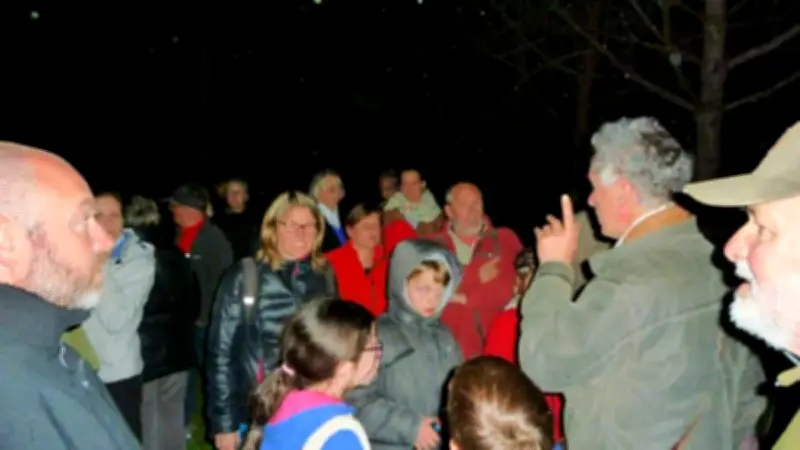 Sortie Nocturne à la Découverte des Amphibiens de l'Étang de Vendres