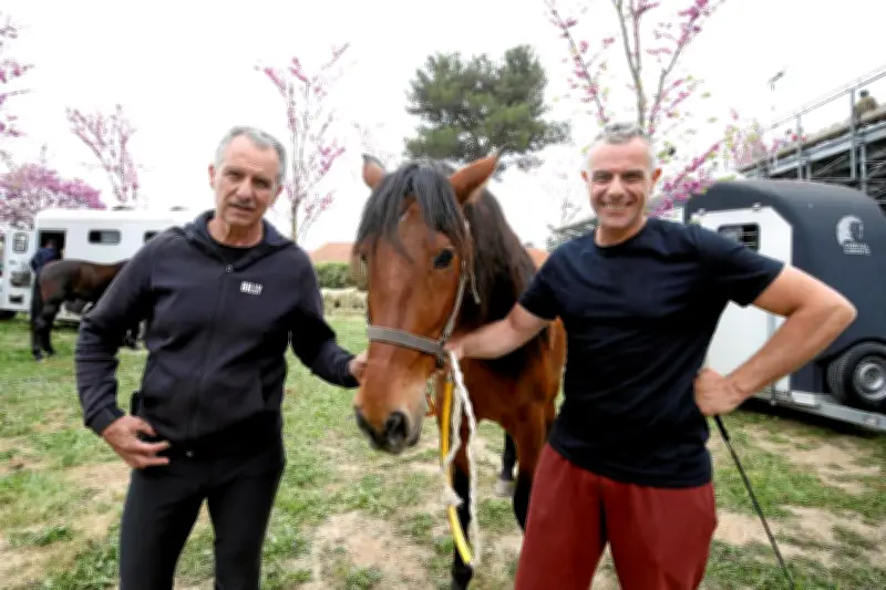 Spectacles équestres à Biot : la complicité homme-cheval au cœur des Templiers