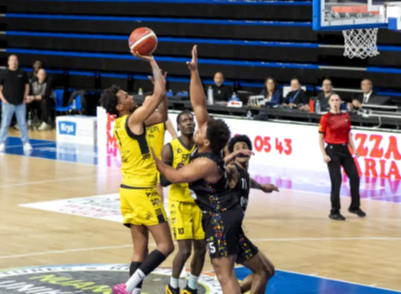 Stade Montois : Un match crucial pour le maintien en N2 face à Brissac