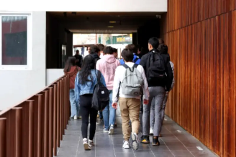 Stages de 3e et 2de : quelle utilité pédagogique ? Un expert répond