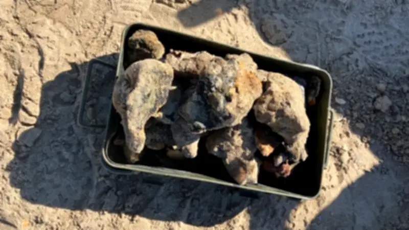 Sète : la plage de Vassal fermée pour une opération de déminage d’obus de la Seconde Guerre mondiale