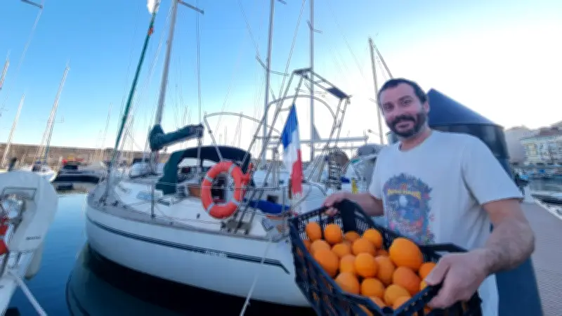 Sète : le transport d'agrumes à la voile renaît entre l'Espagne et l'Occitanie
