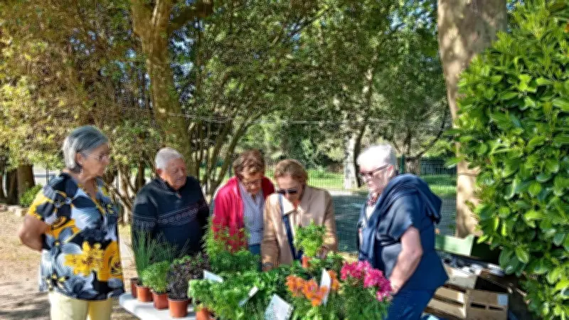 Succès du marché aux fleurs et artisanal du club des seniors à Valliguières