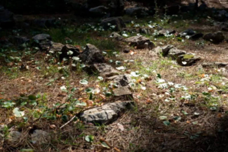 Sur l'île Sainte-Marguerite, un cimetière musulman oublié renaît comme lieu de mémoire