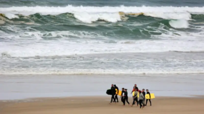 Surveillance des plages : les surfeurs, sauveteurs hors saison sur le littoral atlantique