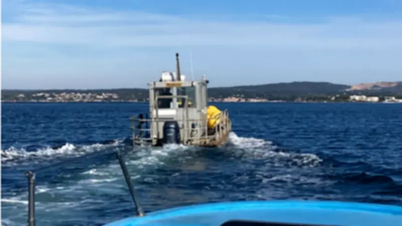 Étang de Thau : des bouées protègent la nidification d'oiseaux menacés