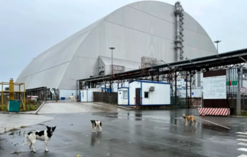 Tchernobyl : 40 ans après, la biodiversité explose dans la zone d'exclusion