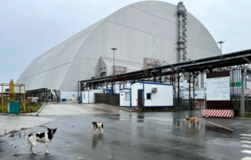 Tchernobyl : 40 ans après, les mystères des chiens mutants et de la radioactivité