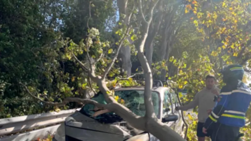 Tempête Benjamin : un automobiliste miraculé à Bessan