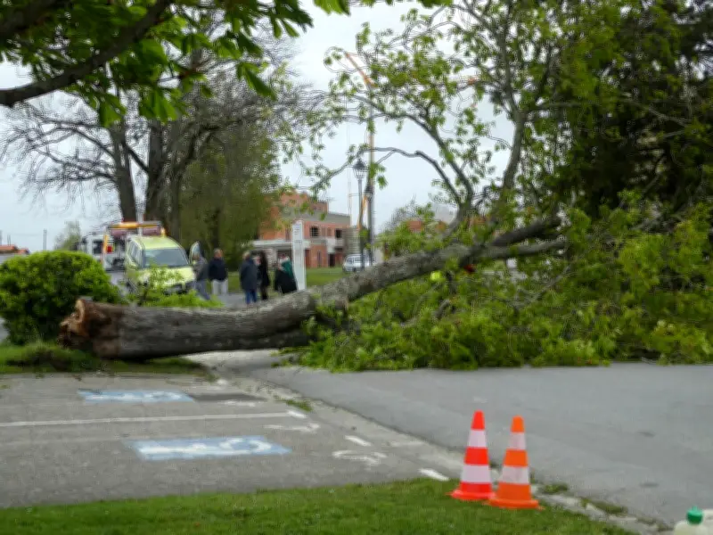 Tempête Diego en Nouvelle-Aquitaine : Retour sur les dégâts d'avril 2022