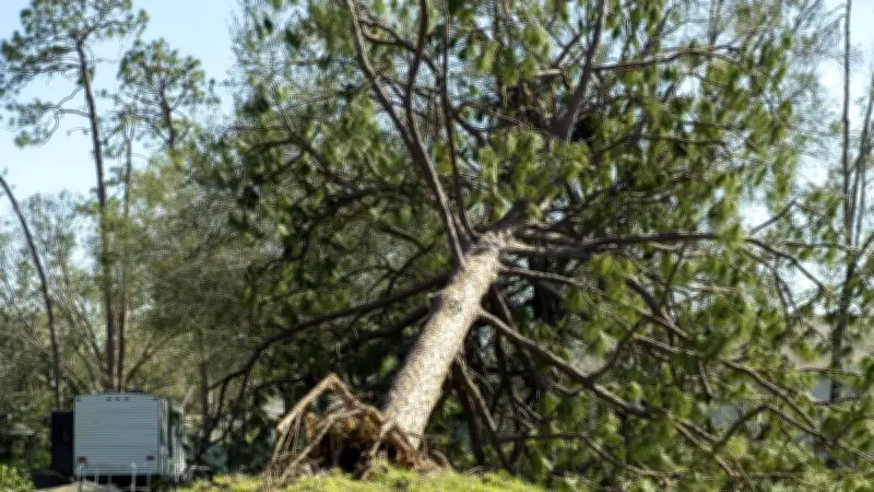 Tempête Goretti : un homme retrouvé mort après la chute d'un arbre sur sa caravane