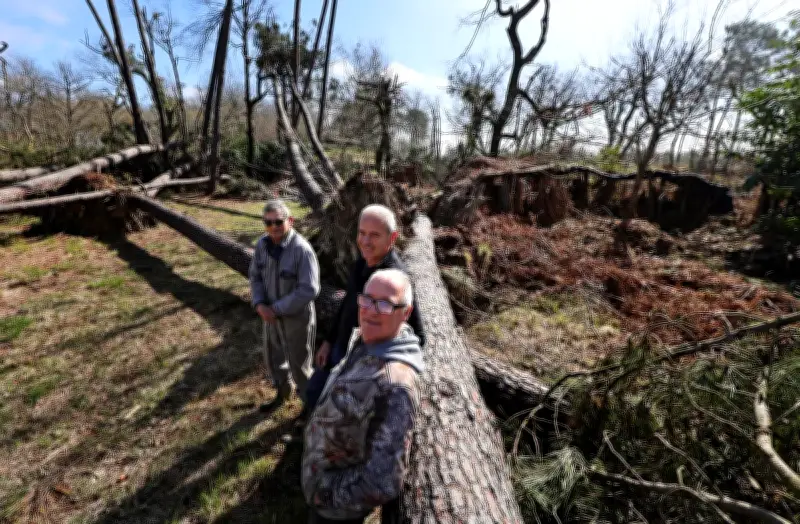 Tempête Nils : la résilience d'une palombière landaise dévastée