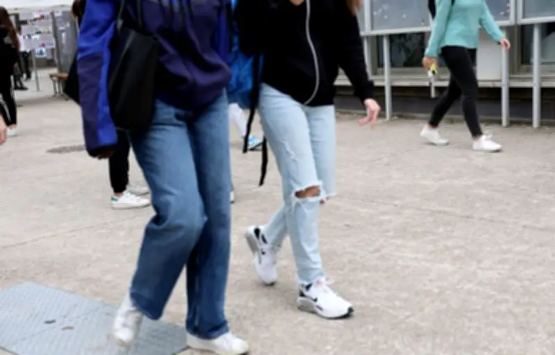 Tentative d'assassinat au lycée d'Ancenis : un adolescent de 15 ans mis en examen