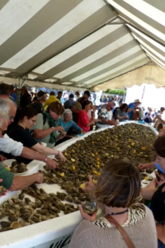 Terra Ostra en balade : lancement réussi de la saison estivale à Gujan-Mestras