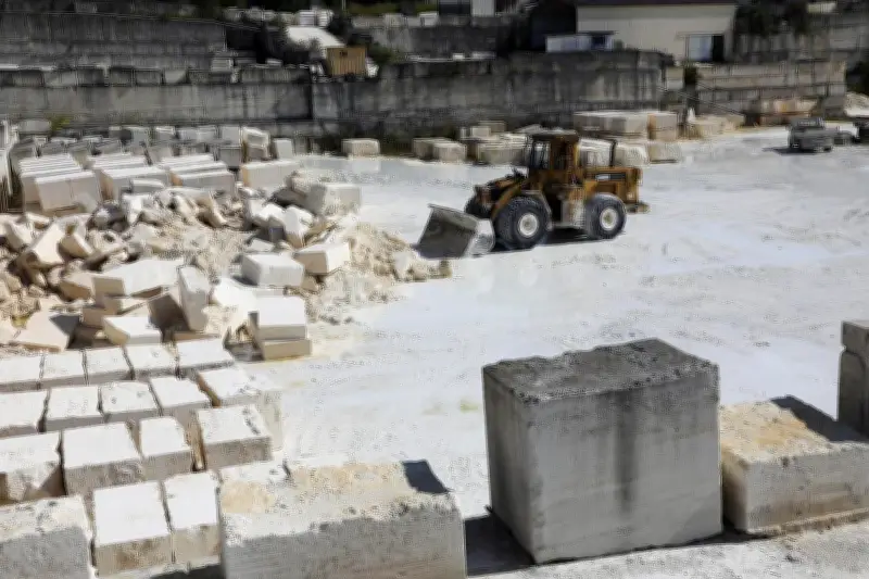 Terrasses en circuit court : les alternatives locales au pin des Landes