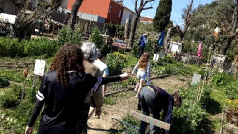 Terres d'ailleurs à Frontignan : un festival qui cultive la nature en ville