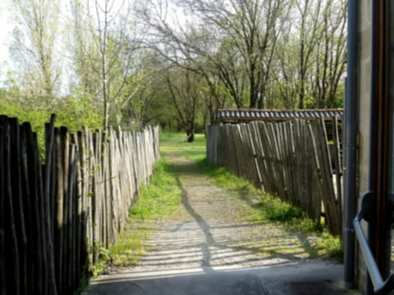 Terres d'Oiseaux à Braud-et-Saint-Louis : un mois d'avril dédié à la découverte ornithologique
