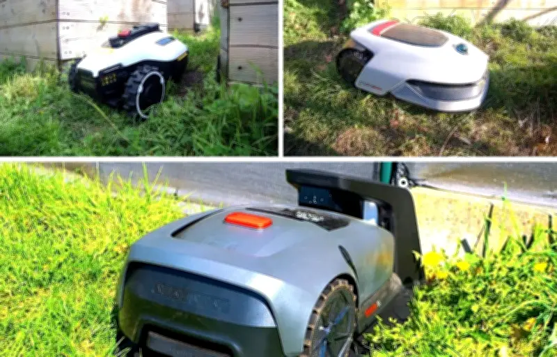 Test comparatif 2026 : les 3 meilleurs robots tondeuses pour un jardin parfait