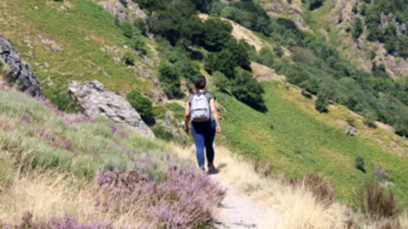 Test du sentier des 4000 marches au mont Aigoual : notre journal de bord