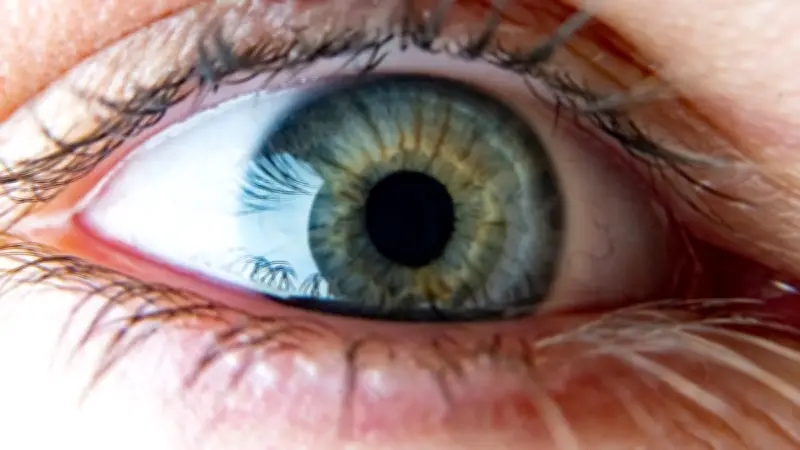 Thérapie génique : une fillette de 6 ans aveugle retrouve la vue