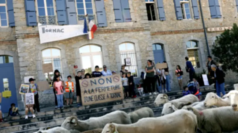 À Tornac, un troupeau de moutons manifeste contre la fermeture d'une classe de CP