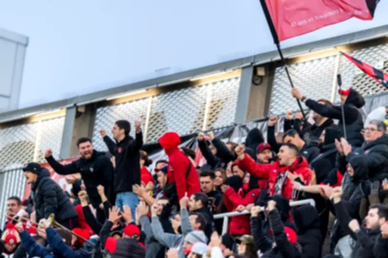 Toulon : l'appréhension des supporters avant le match crucial face aux Stormers