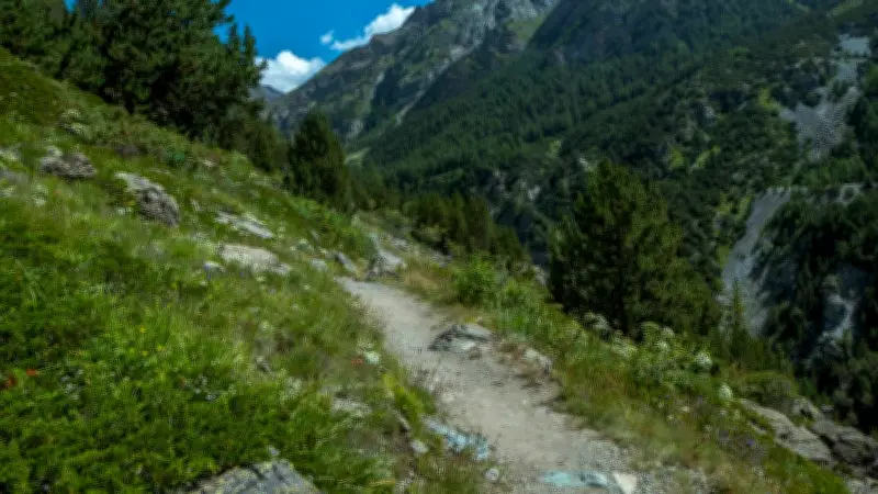 Touriste polonais chute de 100 mètres lors d'une pause pipi en Italie