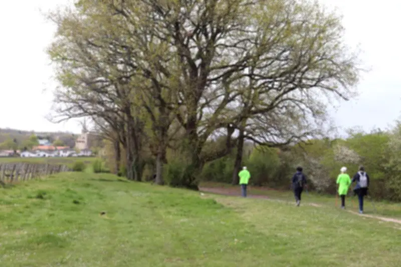 À Tresses, les riverains s'opposent à l'antenne Orange près du chemin de l'Ancienne-Cure