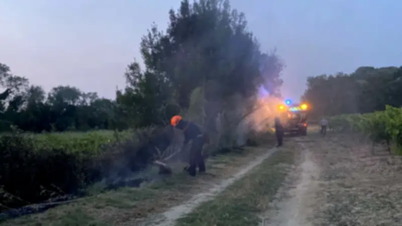 Trois départs de feu suspects à Montbazin : la piste criminelle privilégiée