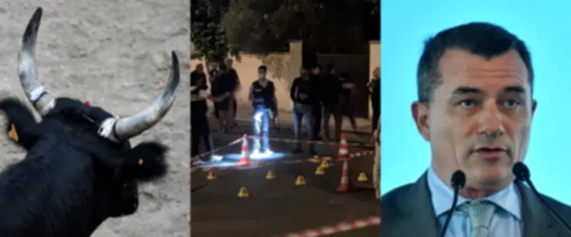 Tué par un taureau, fusillade à Nîmes, D'Ettore débouté : l'actu régionale du 11 juillet