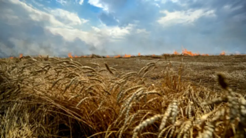Ukraine : sauvetage risqué de deux soldats dans la "zone de la mort"