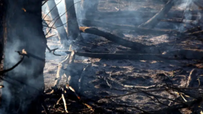 Ukraine : un soldat égorgé rampe 5 jours pour survivre