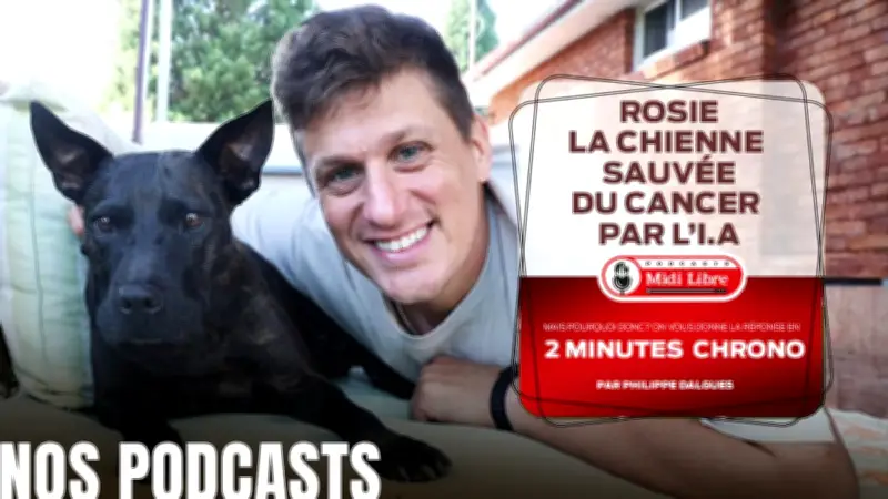Un chien sauvé par l'IA : quand la médecine personnalisée défie le cancer