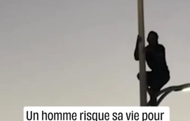 Un héros mexicain sauve une mouette en risquant sa vie au sommet d'un lampadaire