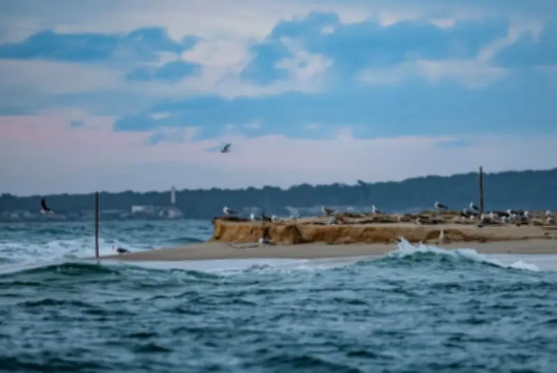 Un livre unique : 365 histoires et aquarelles pour découvrir le bassin d'Arcachon
