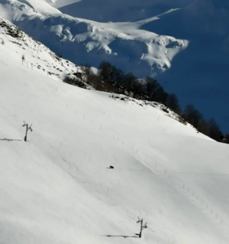 Un ours filmé traversant les pistes de Guzet dans les Pyrénées ariégeoises
