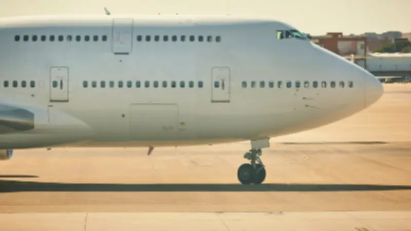 Un rat dans un avion sème la panique et retarde le vol de trois heures