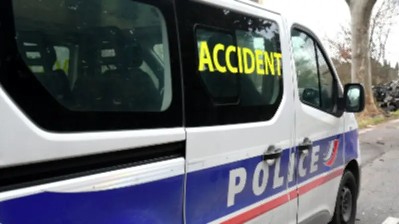Un sanglier provoque un accident à contresens entre Montpellier et Palavas