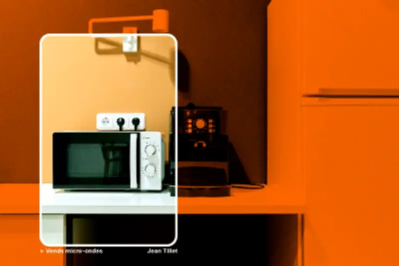 Un vendeur sur Leboncoin envoie une photo compromettante avec son micro-ondes