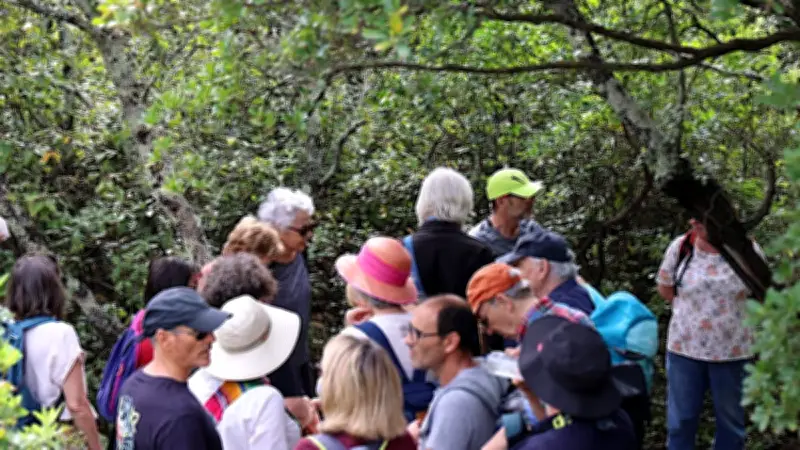 Une balade en garrigue pour dénoncer le projet routier Conim menaçant la biodiversité