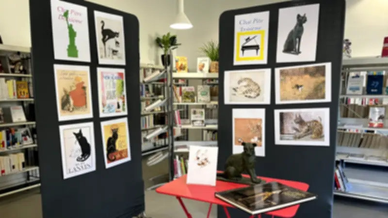 Une exposition artistique dédiée aux chats envahit la bibliothèque de Tavel