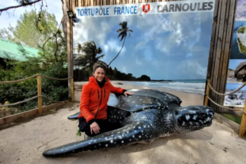 Une exposition sur les tortues marines s'installe à Carnoules dans le Var