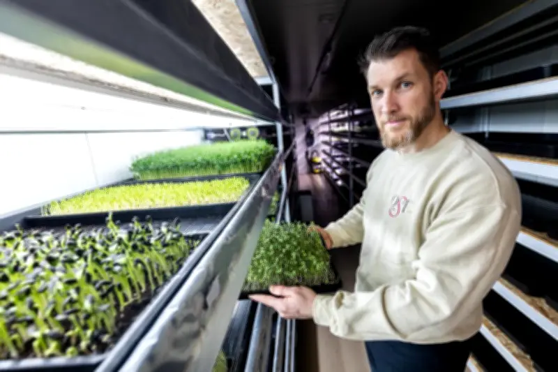 Une ferme urbaine de micropousses s'installe dans un garage à Draguignan