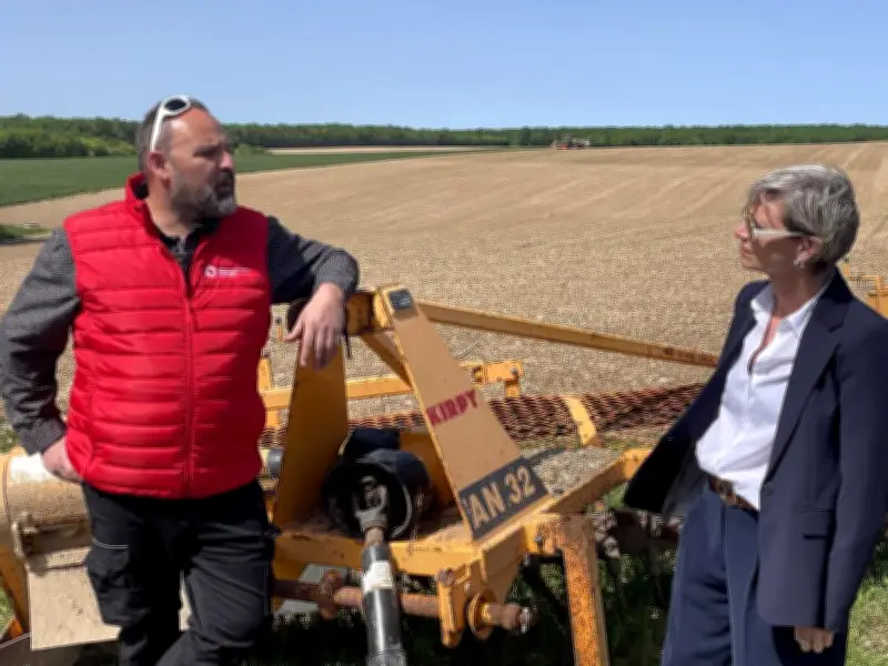 Une filière chanvre locale prend racine dans les Vals de Saintonge avec un investissement de 7,5 millions d'euros