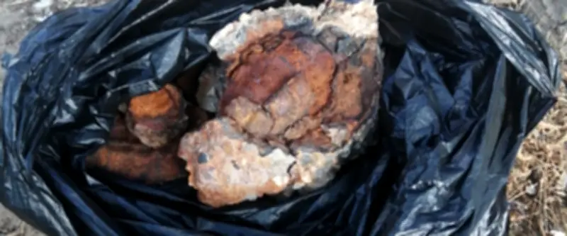 Une fillette ramène une grenade de la plage en pensant que c'est une pierre